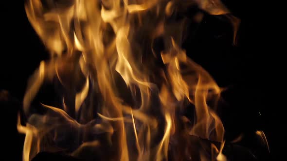 Bonefire, Fire flames in campfire, campsite at Masai Mara Park, Kenya, slow motion alt