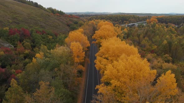 Aerial Video of Road in Beautiful Autumn Altai Forest