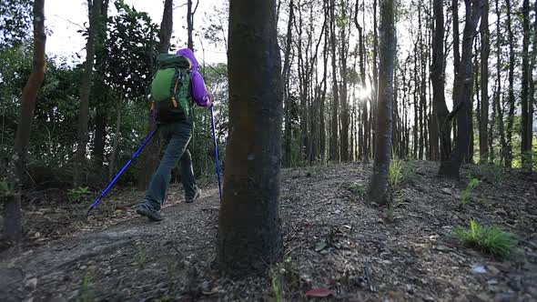 Woman hiker hiking in sunrise spring tropical forest, slow motion alt