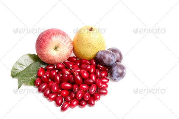 Splendid autumn fruits on a white. - Stock Photo - Images