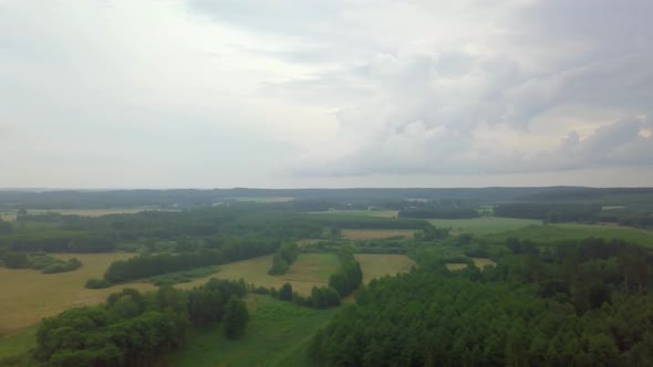 Summer Afternoon After Storm  Flying Over Forest alt