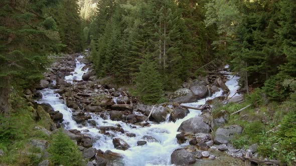 River scenes in forest, national park Dombay, Caucasus
