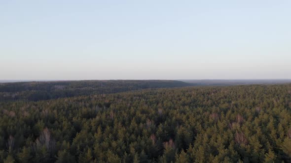 AERIAL: Hills of Forest with Clear Blue Sky on a Lvoely Evening  alt
