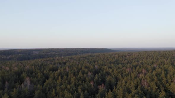 AERIAL: Hills of Forest with Clear Blue Sky on a Lvoely Evening 