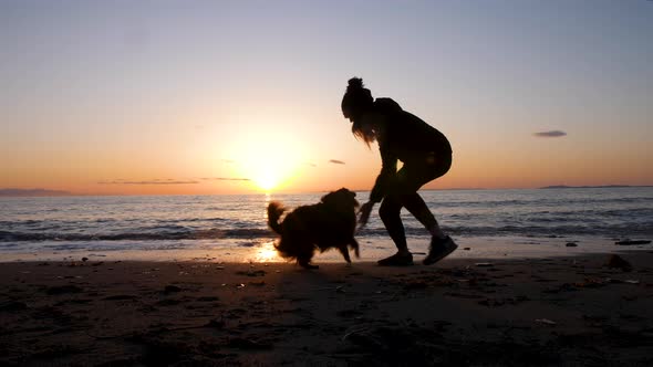 woman plays catch in a circle with her shepherd dob on the beach alt