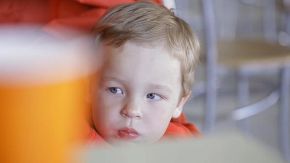 Woman Feeds Her Kid In Restaurant alt