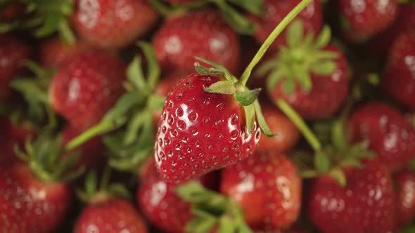Ripe Strawberry On The Background Of A Rotating Berry.