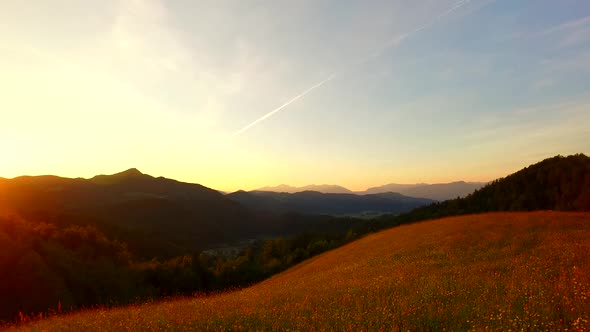Pastures and Meadows at Sunset Whille Day
