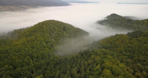 Aerial View To the Foggy Morning Carpathian Forest in Ukraine alt