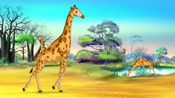 African giraffes in the savannah on a sunny day 4K animation