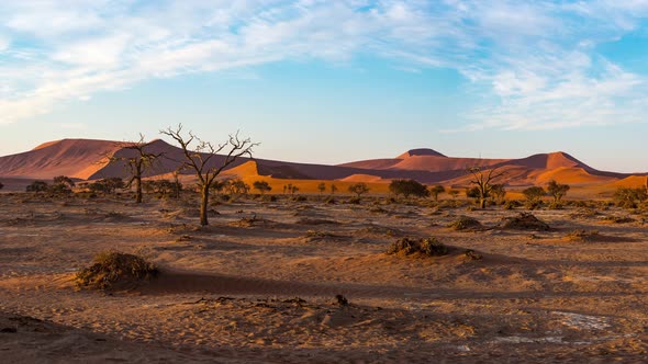 Panorama on colorful sand dunes and scenic landscape in the Namib desert, Namibia, Africa alt