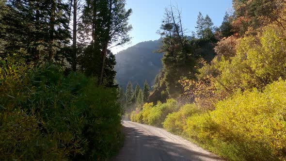Driving on dirt road through canyon in Wyoming during Fall alt