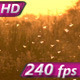 Sultry Africa - VideoHive Item for Sale