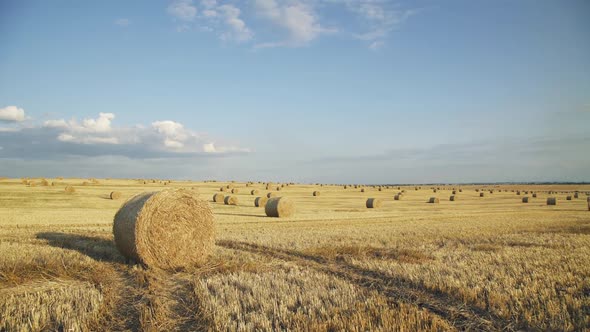 Light Viewing of Horizon with Bright Clear Sky and Haystacks on Field in Summer alt