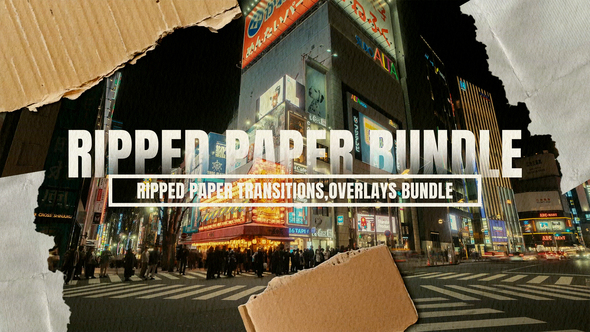 Ripped Paper Transitions & Overlays Bundle Elements template preview