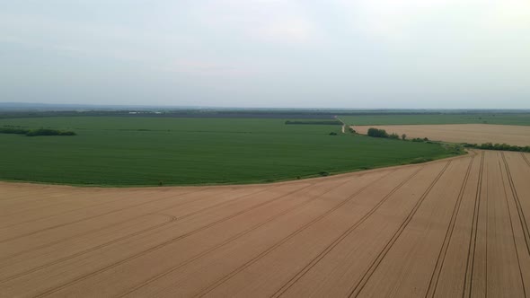 Aerial Top View Of A Different Agriculture Fields In Countryside On A Summer Day