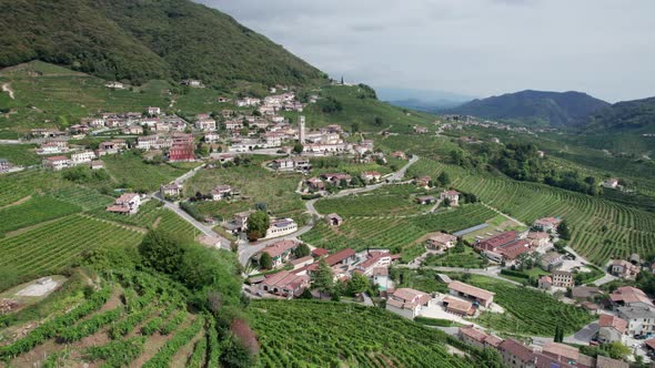 Aerial View of Vineyard Fields on the Hills in Italy Growing Rows of Grapes alt
