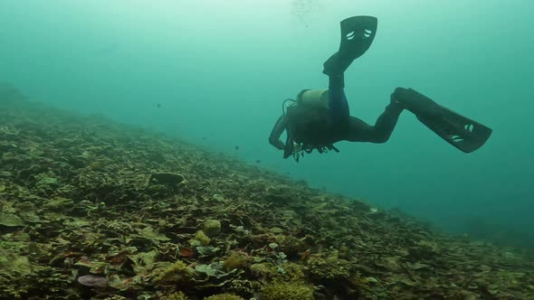 A Scuba Diver Swims Over a Coral Reef