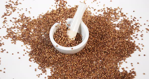 Coriander, coriandrum sativum, seeds falling against White Background, mortar and pestle alt