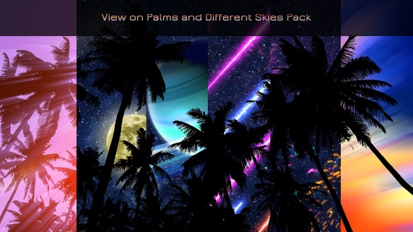 View On Palms And Different Skies