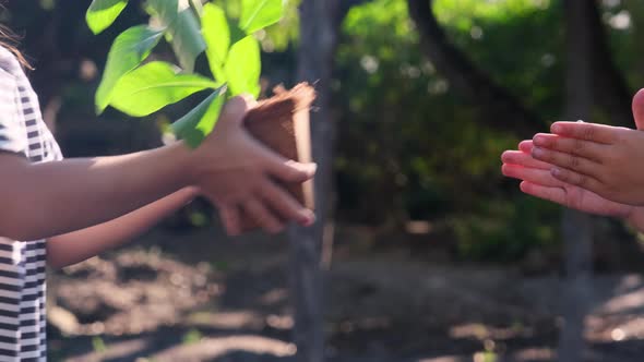 Cute little girl gives her sister a small plant in a pot with green background spring ecology. alt