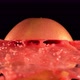 Fresh Grapefruit Fruit Squirting and Burst with Juice in Slow Motion in Black Background - VideoHive Item for Sale