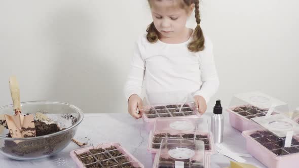 Little girl helping planting seeds in seed propagator with soil. alt