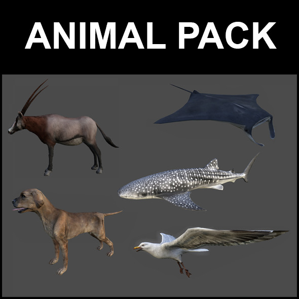 Animal Pack - 3DOcean Item for Sale