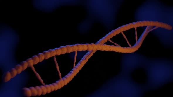 Macro Shot Of 3D DNA molecule endless loop