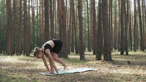 Flexible Fit Female Practices Yoga Performs Surya Namaskar at Sunny Pine Forest