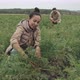 Farm Workers Pulling Carrots - VideoHive Item for Sale