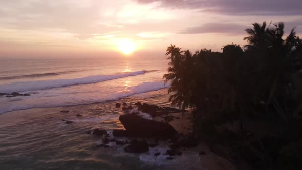 Drone flying over large rock and palm trees during the sunset in Sri Lanka alt