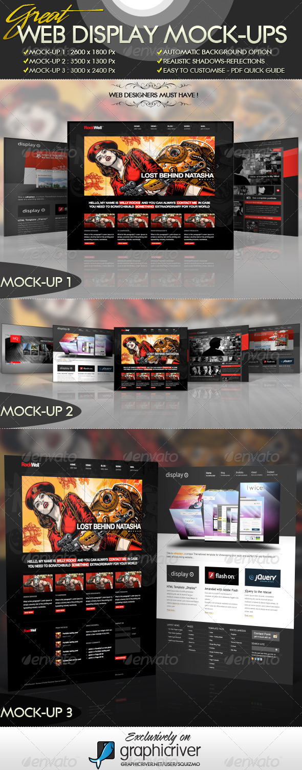 Web Display Mock-Ups - Website Displays
