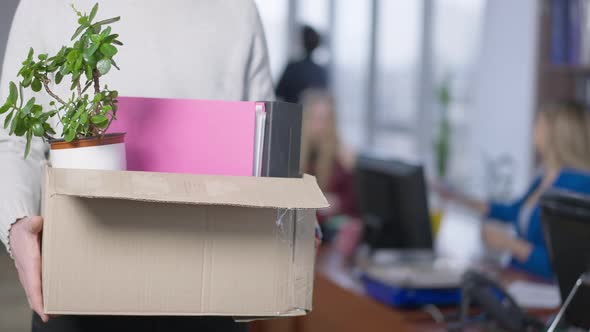 Closeup of Cardboard Box with Pot Flower and Document Folders in Male Hands with Blurred Office alt