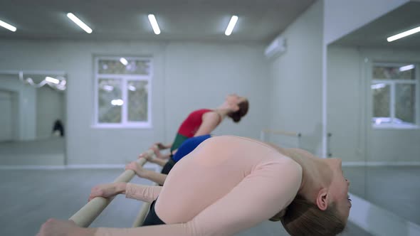 Side View Row of Ballerinas Bending at Barre Indoors alt