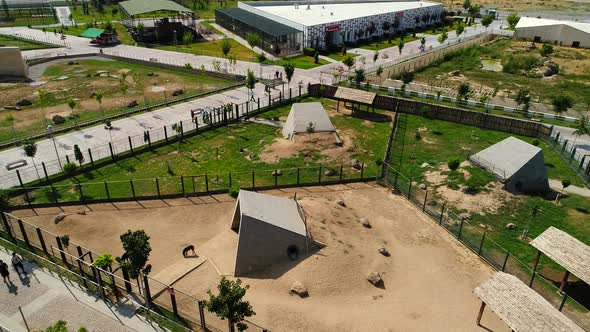 Aerial View Zoo At Spring alt