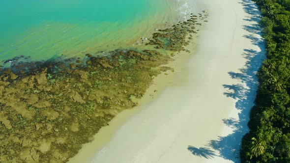 Aerial, Gorgeous Sand Beach And Rain Forest  At Cape Tribulation In Queensland, Australia