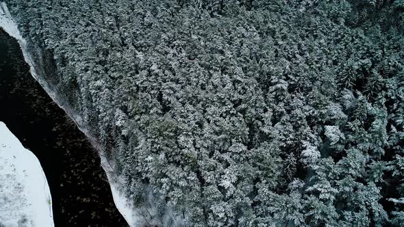 Aerial View of Winter Forest and River