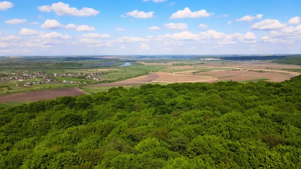 Aerial View of Dark Green Lush Forest with Dense Trees Canopies in Summer alt