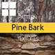 Pine Bark Surface Textures
