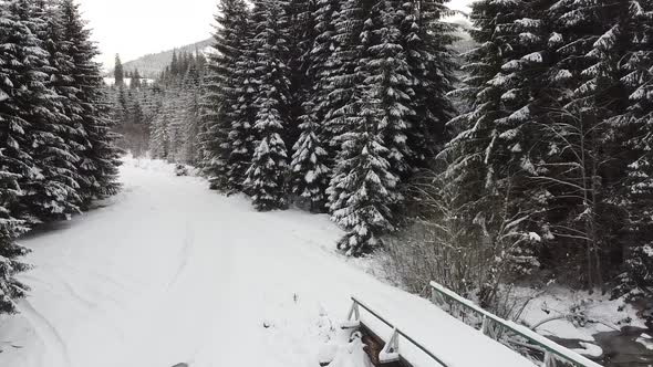 Magical Forest With A River During Winter