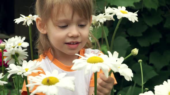 Little Smiling Girl in Summer Meadow with Chamomile Looks at Camera