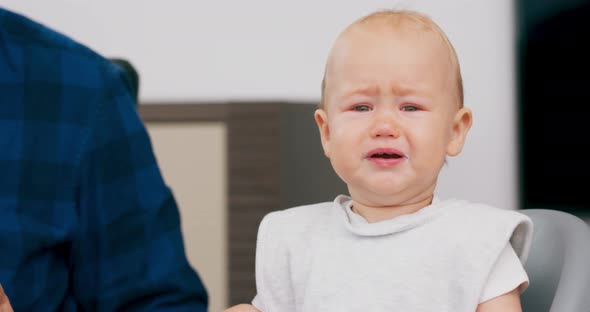Closeup Cute Baby with Bib in High Baby Chair Young Bearded Father is Trying to Feed Baby with Spoon alt