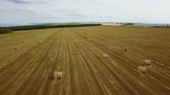 Haystack On The Field