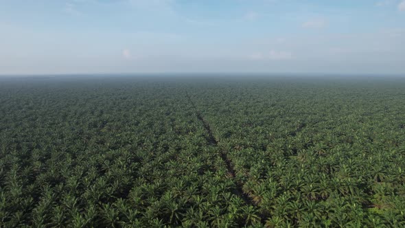 The Underwater World alt