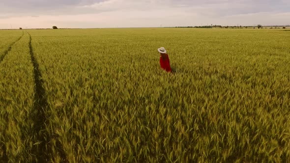 Slow Motion Drone Shot of Happy Beautiful Redhead Girl Dancing Walking Along Green Wheat Field Young