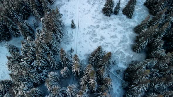 Drone Flying Above Frozen Forest Revealing Mountain Top in Winter