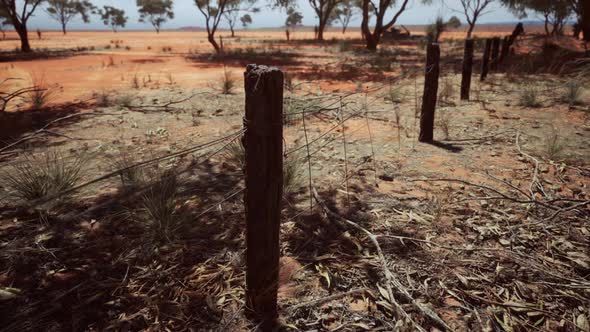 Pampas with Barbed Wire Fence and Dry Bushes alt