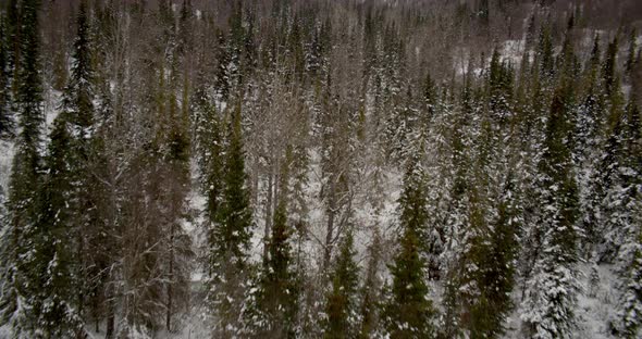 Aerial helicopter shot, tracking shot of large cloud bank oscuring mountain with green base, drone f
