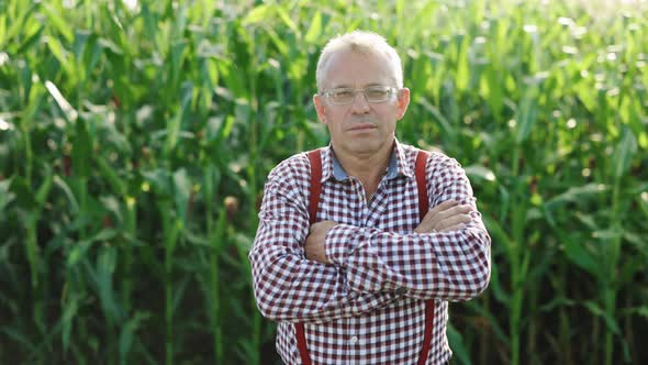 Portrait of Man With Crossing Hands in the Casual Shirt in the Farm on Corn Field Background